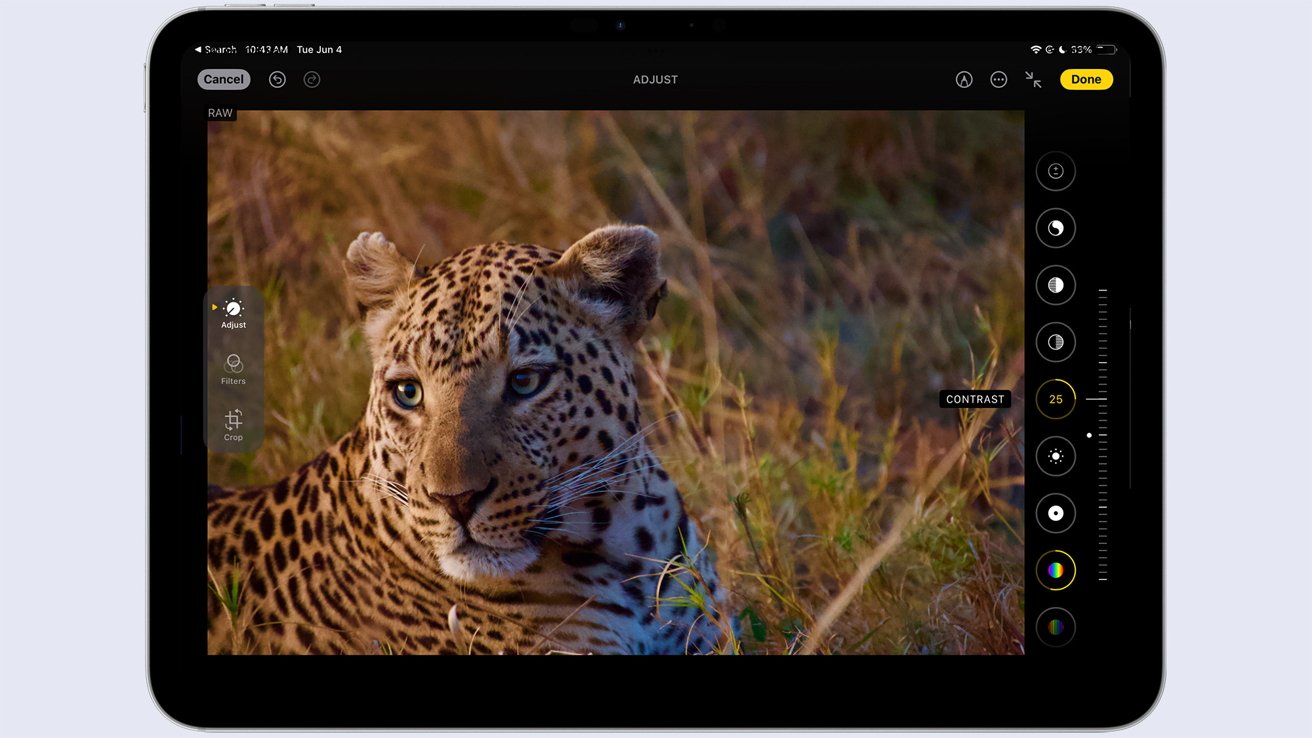 Obrazovka iPadu zobrazující leoparda ležícího v trávě, součást softwarového rozhraní pro úpravu fotografií s nástroji pro úpravy vpravo.